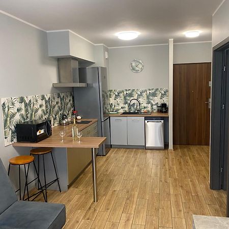 2 Tyskie Apartamenty Z Ogrodkiem 타이치 외부 사진